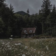 a house sitting in the middle of a forest with lots of flowers on the ground