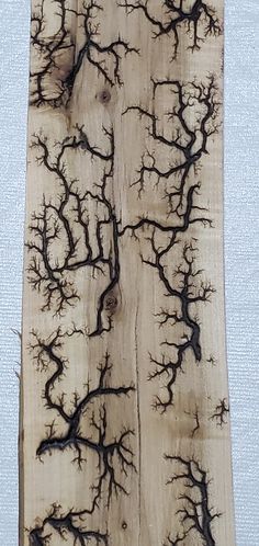 a piece of wood that has some branches on it