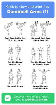 the dumbbell arms workout guide