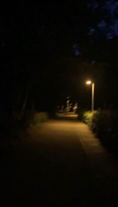 a street light on the side of a dark road at night with trees and bushes in the background