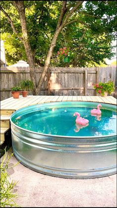 two pink flamingos are swimming in an oval pool with clear blue water and wooden decking