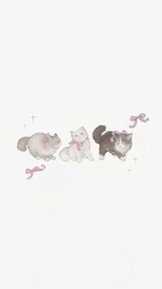 three white cats with pink bows on their collars