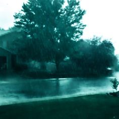 an image of a house in the rain with trees and water on the ground around it