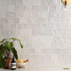 a white brick wall next to a potted plant and two bottles on a table