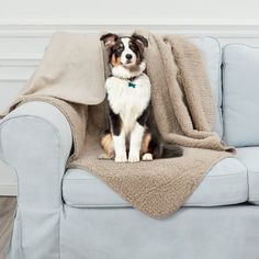 a dog sitting on top of a couch under a blanket covered with a blanket over it