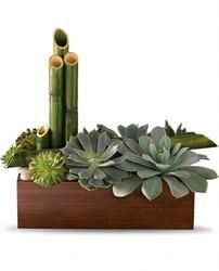 an arrangement of succulents and plants in a wooden container