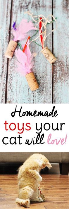 a cat is playing with some toys on the floor and in front of it are words that read homemade toys your cat will love