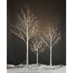 three lighted trees in the snow with no leaves on them, one is white and the other is brown