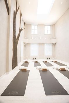 yoga mats are lined up in the middle of a room with a tree on one side