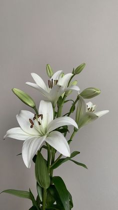 white lilies are in a green vase on a gray table top with greenery