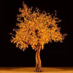 a tree with yellow leaves on it in front of a black background, lit up at night