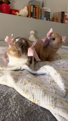 two brown and white rabbits sitting on top of a bed next to eachother