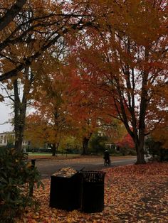 two trash cans sitting in the middle of a leaf covered park