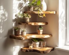 three wooden shelves with plants on them next to a white wall and window sill