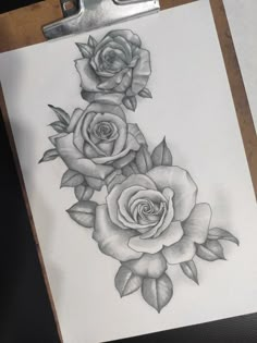 a pencil drawing of three roses on a piece of paper