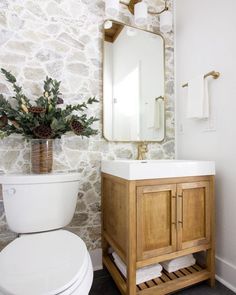 a white toilet sitting next to a wooden cabinet under a bathroom mirror with pine cones on it