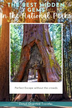 the redwood in the national park with text overlay that reads, best hidden gems in the national park perfect escapes without the crowds