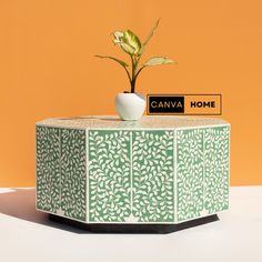 a potted plant sitting on top of a green and white table with a sign that says canvas home