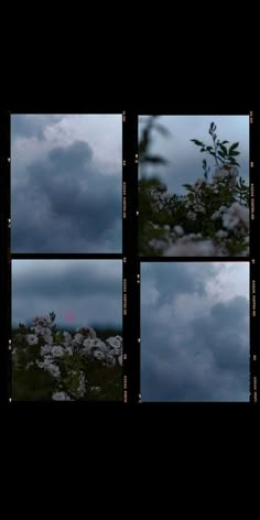 four different shots of flowers and clouds in the sky, with one light shining on them