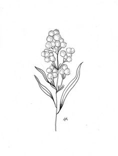 a black and white drawing of a flower