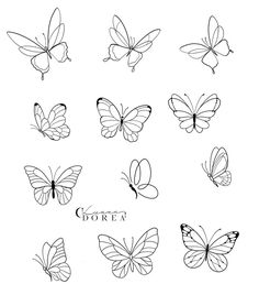 the different butterflies are drawn in black and white