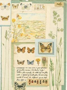 a collage with butterflies and flowers on it