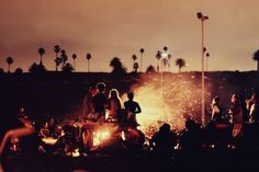 a group of people sitting around a campfire with palm trees in the background at night