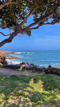 the ocean is next to some trees and flowers on the grass by the water's edge