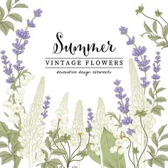 an illustration of flowers and leaves with the words summer vintage flowers