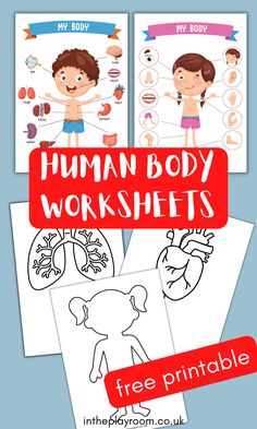 the human body worksheets for kids to learn and practice with their own hands