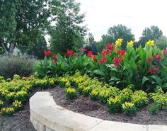 the flowers are blooming in the garden by the stone wall and trees on the other side