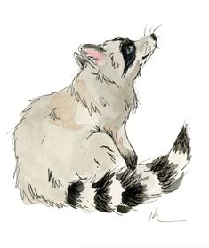 a drawing of a raccoon sitting on the ground