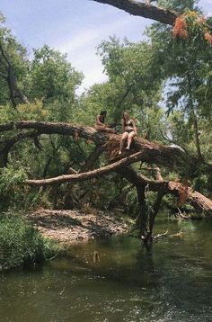 two people sitting on a fallen tree over a river