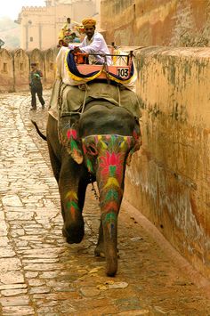 an elephant walking down a cobblestone street with people riding on it's back