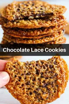 close up image of chocolate lace cookies Italian Lace Cookies, Lace Chocolate Chip Cookies, Lacy Cookies Recipes, Easy Florentines Recipe, Decadent Cookies Recipes