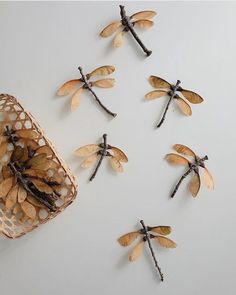 several dragonflys are placed on a white surface next to a basket filled with coins