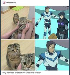 two pictures with cats and one has an image of a robot holding a cat in it's arms