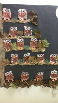 an owl themed bulletin board with leaves and paper owls