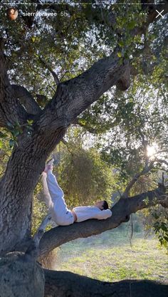 a person sitting in a tree with their feet up on the ground and arms outstretched