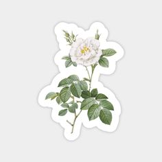 a white flower with green leaves on a sticker that is cut out into the shape of a rectangle