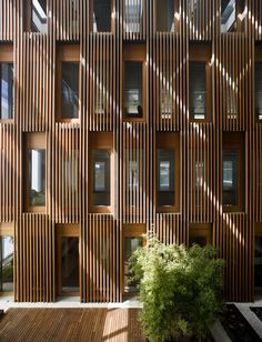 the building has many windows and wooden slats on it's sides, as well as plants