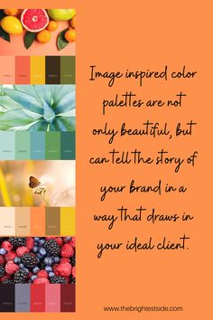 an orange background with different colors and text that reads image inspired color palettes are not only beautiful, but can tell the story of your brand in a way that