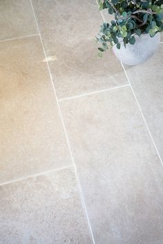 a potted plant sitting on the ground next to a tile floor in a bathroom