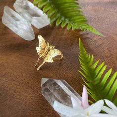 Luna Moth Ring Gold Plated Nwt Luna Moth Ring, Moth Engagement Ring, Moth Ring, Luna Moth, Ring Gold, Womens Jewelry Rings, Moth, Gold Rings, Engagement Ring