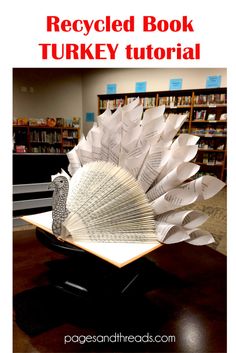 a book shaped like a turkey sitting on top of a table in front of a bookshelf