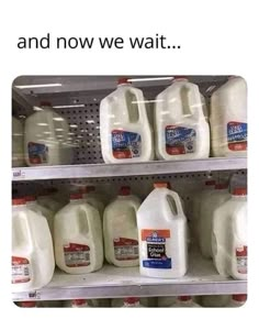 two rows of milk bottles sitting on top of a shelf