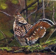 a painting of a bird in the woods