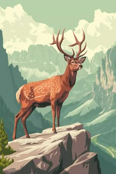 a deer standing on top of a cliff