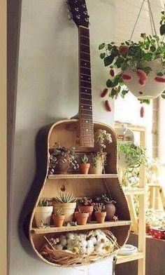 a guitar hanging from the side of a wall next to a potted plant on a shelf