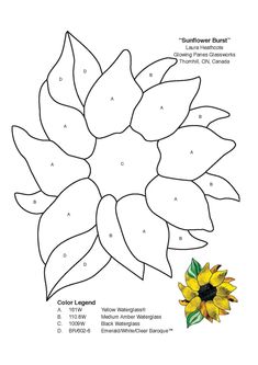 a sunflower is shown in the shape of a flower with four petals on each side